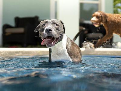 unsplash_eLUBGqKGdE4