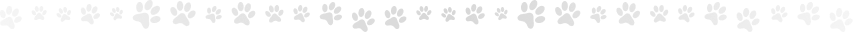 Vector