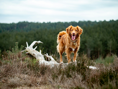 unsplash_0wyjE0FzVm4