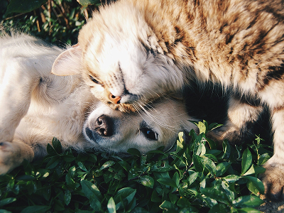 unsplash_9gz3wfHr65U
