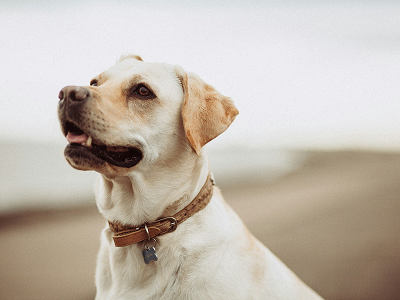 unsplash_PUY5xUszd3Y