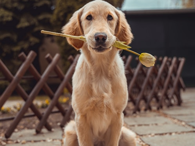 unsplash_Sg3XwuEpybU