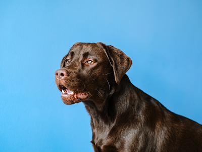 unsplash_WrG-lFojjW4