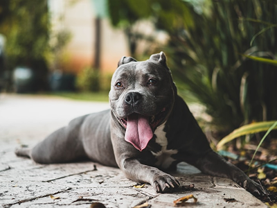 unsplash_ocZ-_Y7-Ptg
