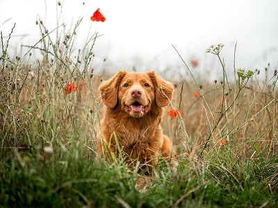 unsplash_VETPuVqsqnQ
